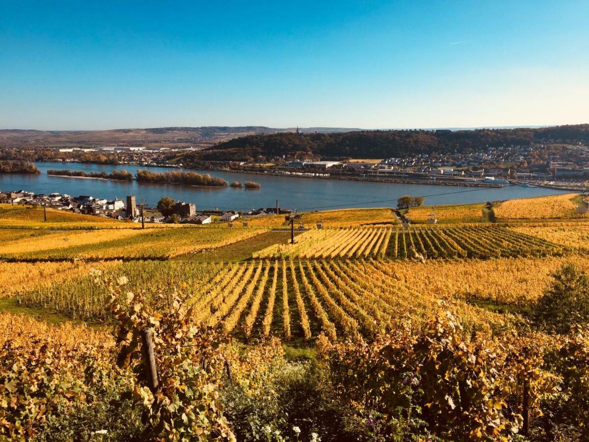 Hotel Altdeutsche Weinstube Rüdesheim am Rhein Esterno foto